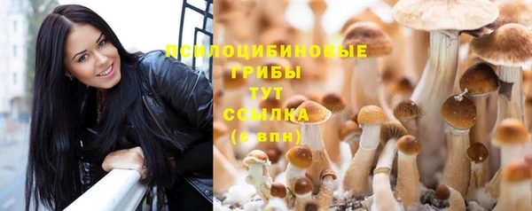 СК Протвино