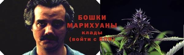 МДПВ Пролетарск