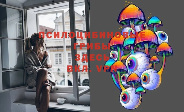 СК Протвино