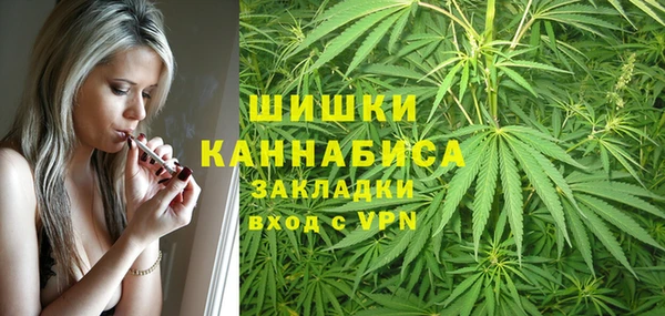 соль курить ск Дубна