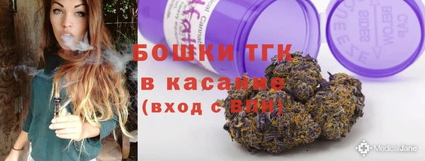 СК Протвино