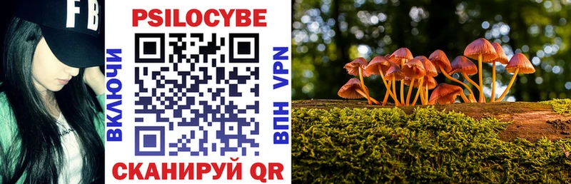 Галлюциногенные грибы мицелий  Усть-Катав 
